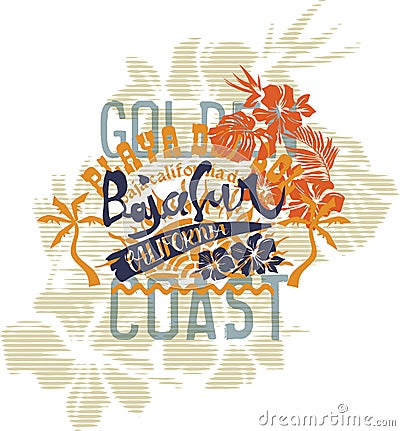Baja California sur coast summer Vector Illustration