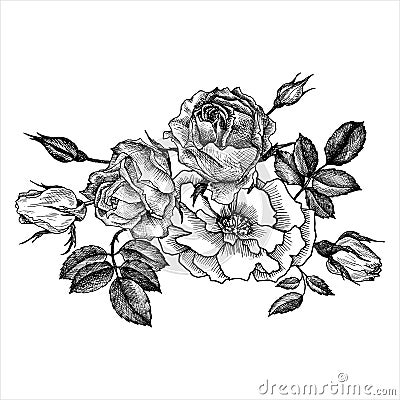 Vintage vector floral element Vector Illustration