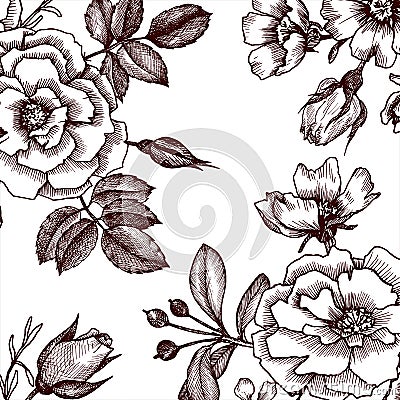 Vintage vector floral template Vector Illustration