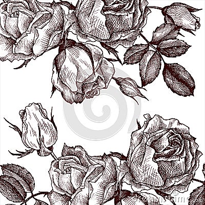 Vintage vector floral template Vector Illustration