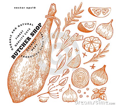 Vintage vector meat illustration. Hand drawn jamon, spices and herbs. Raw food ingredients. Retro sketch. Can be use for label, Cartoon Illustration