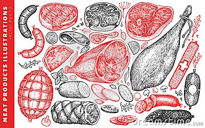 Vintage vector meat products illustration set. Hand drawn ham, sausages, jamon, meat steak, spices and herbs. Meat food Cartoon Illustration