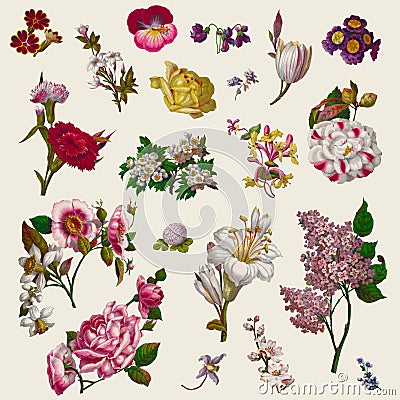 Vintage Victorian Flowers Clip Art Stock Photo