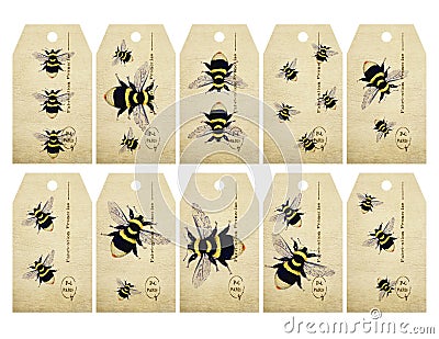 Vintage Watercolor Bee Gift Tags Stock Photo
