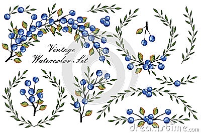 Vintage Watercolor set.Blue berrie, branches Stock Photo