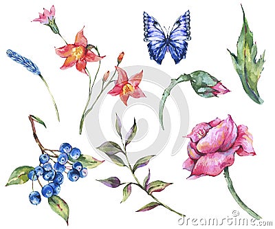 Vintage watercolor set of wild flowers, meadow herbs, butterfly, poppy, leaves, twigs, buds Cartoon Illustration