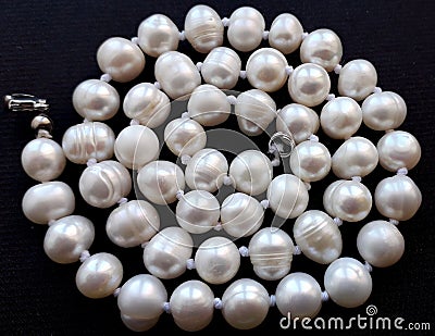 Vintage white beads, natural pearl necklace. Vintage pearl necklace. Stock Photo