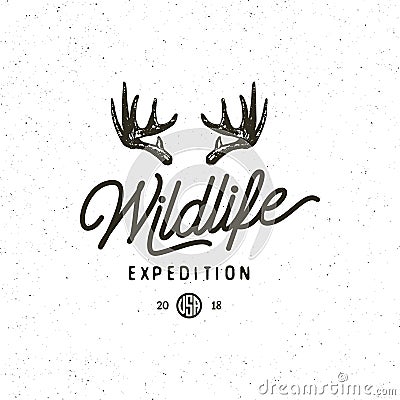 Vintage wilderness logo. hand drawn retro styled outdoor adventure emblem. vector illustration Vector Illustration