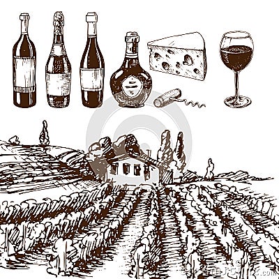 Vintage winery wine production handmade draft winemaking sketch Vector Illustration