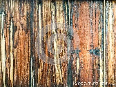 Vintage wood background. Stock Photo