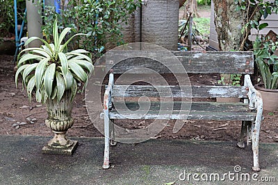 Wood Bench in the Yard Stock Photo