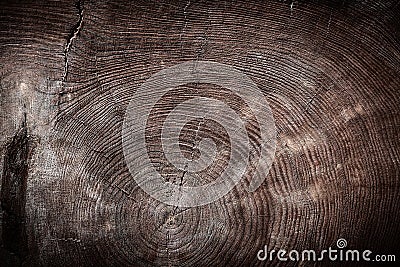 Vintage wood texture cross section of tree trunk Stock Photo