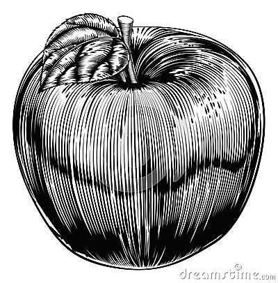 Vintage Woodcut Apple Vector Illustration