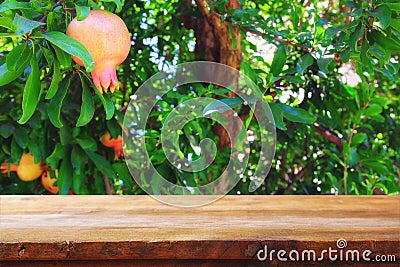 vintage wooden board table in front of dreamy pomegranate tree landscape Stock Photo