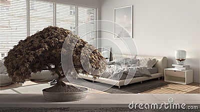 Vintage wooden table shelf with potted bloom bonsai, beige leaves, flowers, over modern bedroom, panoramic window, bed with pouf, Stock Photo