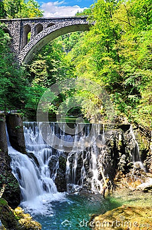 Vintgar gorge canyon with wooden pats, beauty of nature,Bled,Slovenia Stock Photo