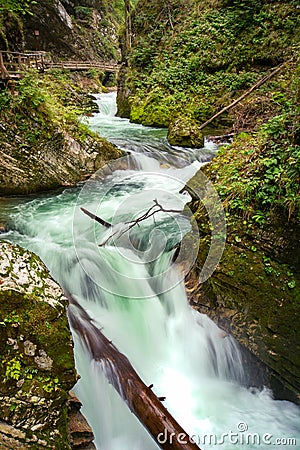 Vintgar Gorge III Stock Photo