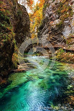 Vintgar gorge soteska Vintgar or Bled Gorge Blejski vintgar in Slovenia. Amazing nature landscape Stock Photo