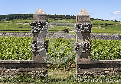 Vineyard Domaine Clos des Epenots Burgundy Editorial Stock Photo