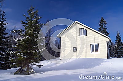 Vinyl siding. Stock Photo