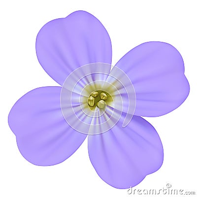 Viola odorata, Sweet Violet, English Violet, Common Violet, or Garden Violet Vector blooming blue flower isolated Vector Illustration