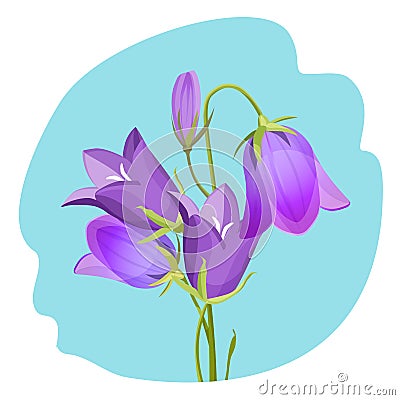 Viola violet flowering plant realistic vector illustration isolated Vector Illustration