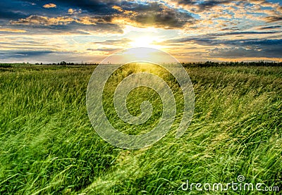 Violent storm on field Stock Photo