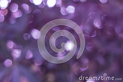 Violet bokeh abstract light backgrounds,blurred lights Stock Photo