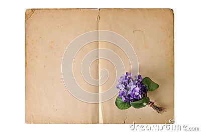 Violet bouquet Stock Photo