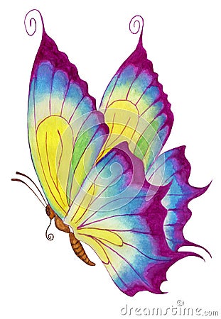 Violet butterfly watercolor illustration. Isolated on a white background. Vector Illustration