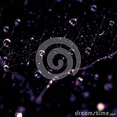 Violet colored toned backdrop made of spiderweb.Square format Stock Photo