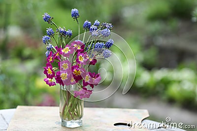 Violet crimson blue flowers bouquet close up photo on summer green background Stock Photo