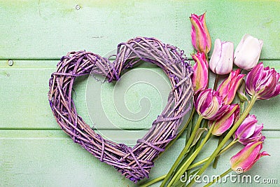 Violet decorative heart and bright pink spring tulips flowers Stock Photo