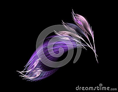 Violet feathers Stock Photo