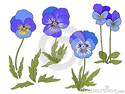 Violet flowers. Set of colored flowers Vector Illustration