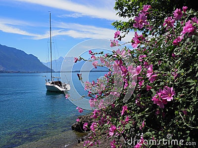 Violet flowers and yacht at promenade in Montreux city in Switzerland Editorial Stock Photo