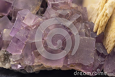 Violet fluorite, macro detail, texture background. semi-precious gemstone Stock Photo