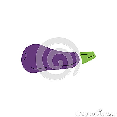 Violet fresh eggplant with black line isolated on white background. HAnd drawn vector simple doodle children illustration. Concept Vector Illustration