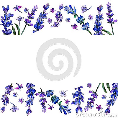 Violet lavender. Floral botanical flower. Frame border ornament square. Stock Photo