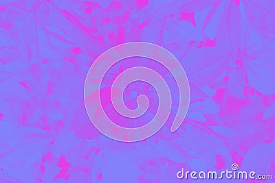 Violet and magenta color abstract background, ficus leaves pattern Stock Photo