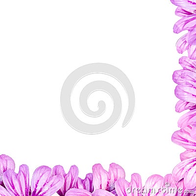 Violet petals floral frame, ready for a love card. Stock Photo