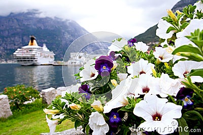 Violet and petunias Stock Photo