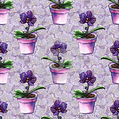 Violet phalaenopsis orchid flower seamless pattern texture Stock Photo