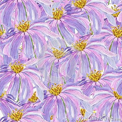 Violet pink flowers with yellow core watercolor seamless pattern Cartoon Illustration