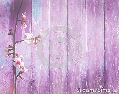 Violet pink wood background spring flowers shabby Stock Photo