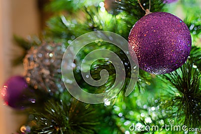 Violet Purple and Silver Christmas balls on tree in a winter scene Stock Photo