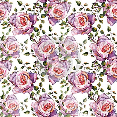 Violet rose , watercolor, pattern seamless, handmade Stock Photo