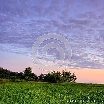 Violet sunset Stock Photo