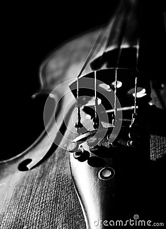 Violin Stock Photo