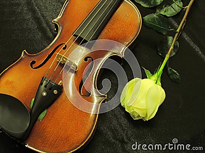 Violin on background Stock Photo